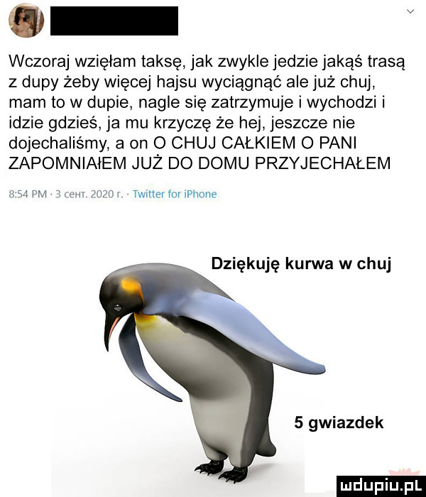 wczoraj wzięłam taksę jak zwykle jedzie jakąś trasą z dupy żeby więcej hajsu wyciągnąć ale już chuj mam to w dupie nagle się zatrzymuje i wychodzi i idzie gdzieś ja mu krzyczę że hej jeszcze nie dojechaliśmy a on o chuj całkiem o pani zapomnialem już do domu przyjechalem cba pm mm wr wnmfnuwnm dziękuję kunica w chuj   gwiazdek