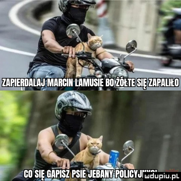 se gapisz hoi sie ęieiiii iiiiy poligyji jelpiu. pl