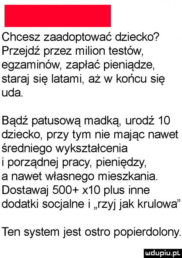 chcesz zaadoptować dziecko przejdź przez milion testów egzaminów zapłać pieniądze staraj się latami aż w końcu się uda. bądź patusową madką urodź    dziecko przy tym nie mając nawet średniego wykształcenia i porządnej pracy pieniędzy a nawet własnego mieszkania. dostawaj     x   plus inne dodatki socjalne i rzyj jak kruiowai ten system jest ostro popierdolony