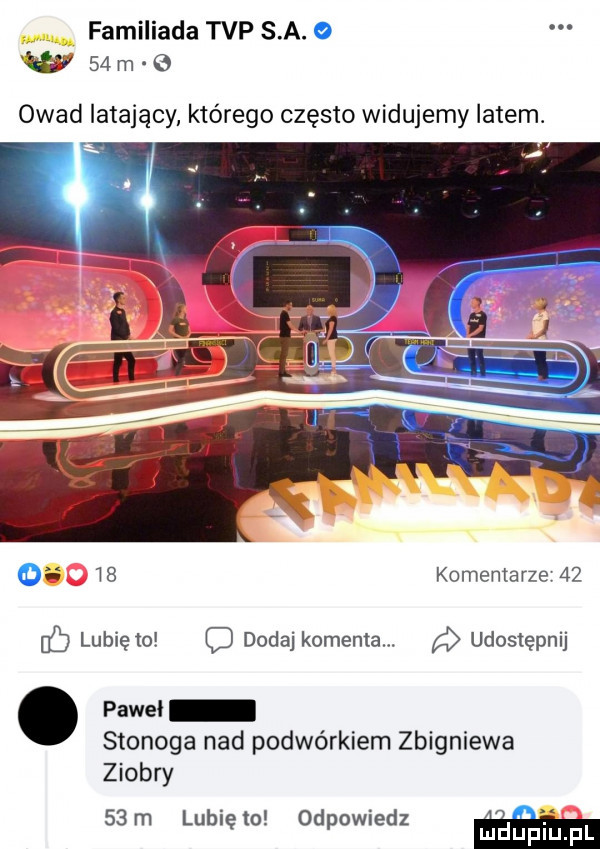 familiada tvp s a. wa   m o owad latający którego często widujemy latem.    komentarze    nb lubię to o dodaj komenda. a udostępnij. pawel stonoga nad podwórkiem zbigniewa ziobry   m lunięto odpowiedz mduplu pl