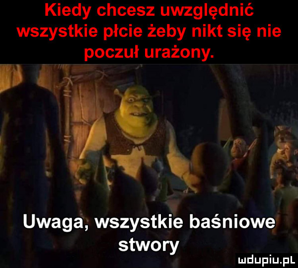kiedy chcesz uwzględnić wszystkie płcie żeby nikt się nie poczuł urażony. fax     uwaga wszystkie baśniowe stwory ii    h