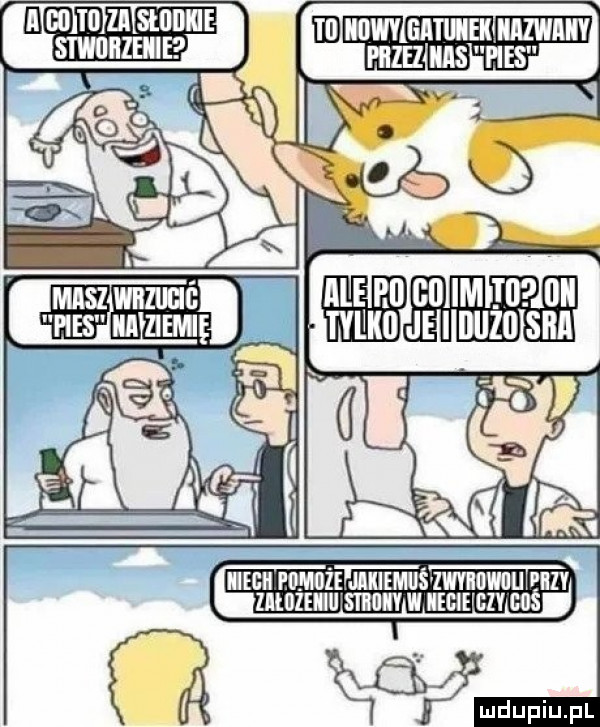 e di ti zi stall stwuiizeiiie ed bęeęaięfs ęężaswaw abe i ll    im tl iii tylko je i llllle saa ﬁo ell ehm że e jikiemuśz zvmiijwiju plii y ziedze il mm w indie gzy coś gw