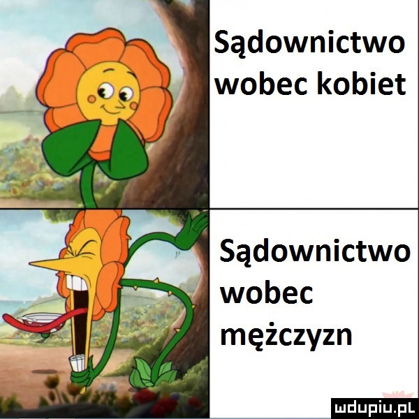 sądownictwo wobec kobiet sądownictwo wobec mężczyzn