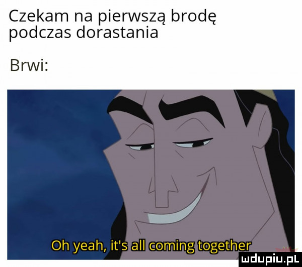 czekam na pierwszą brodę podczas dorastania brwi