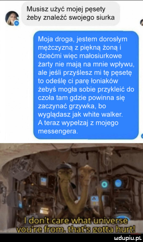 musisz użyć mojej pęsety żeby znaleźć swojego siurka moja droga jestem dorosłym mężczyzną z piękną żoną i dziećmi więc malosiurkowe żarty nie mają na mnie wplywu ale jeśli przys lesz mi tę pęsetę to odeślę ci parę łoniaków żebys mogla sobie przykleić do czoła tam gdzie powinna się zaczynać grzywka bo wyglądasz jak white walker. a teraz wypelzaj z mojego messengera. ś idmriir le uz v muiwilmnmli. wt. thc hlmrt