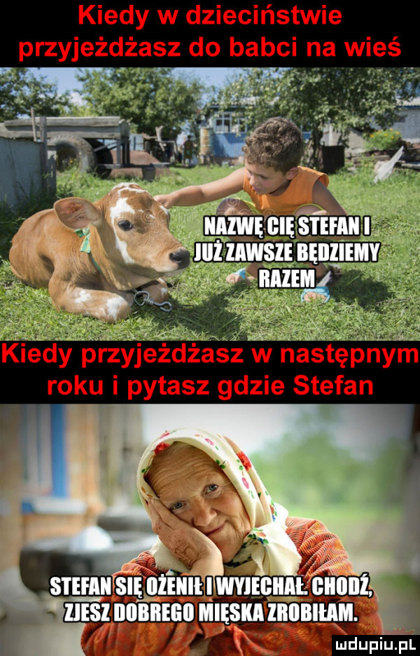 kiedy w dzieciństwie przyjeżdżasz do babci na wieś r kiedy przyjezdeśz wwnaspn roku i pytasz gdzie stefan