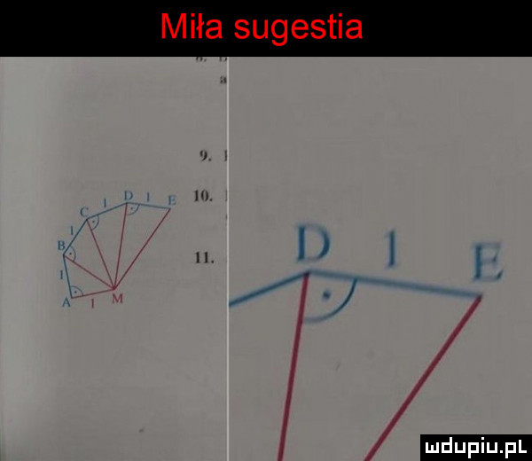 upiu pl