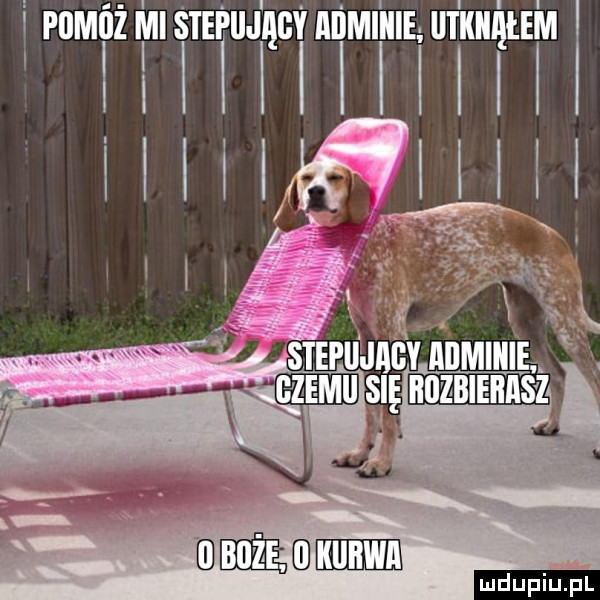 iijągy ilimiiiie ilflllll team i tede