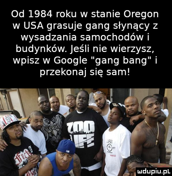 od      roku w stanie oregon w usa grasuje gang słynący z wysadzania samochodów i budynków. jeśli nie wierzysz wpisz w google gang bing i przekonaj się sam