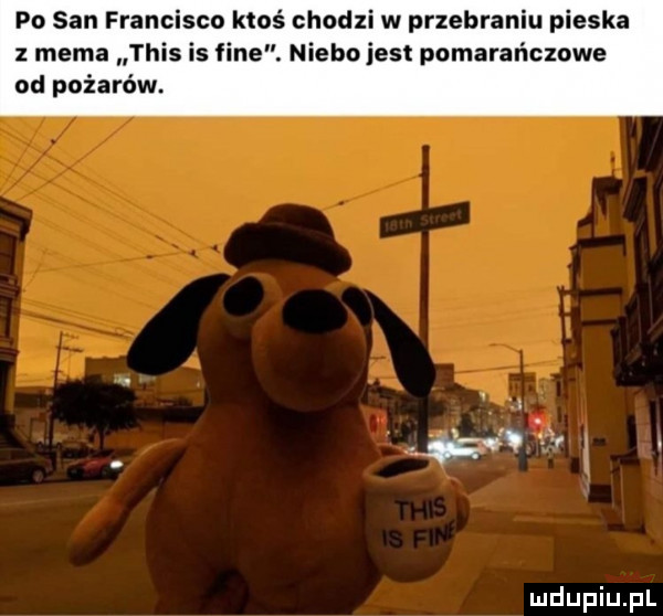 po san francisco ktoś chodzi w przebraniu pieska   mema tais is fine. niebo jest pomarańczowe od pożarów