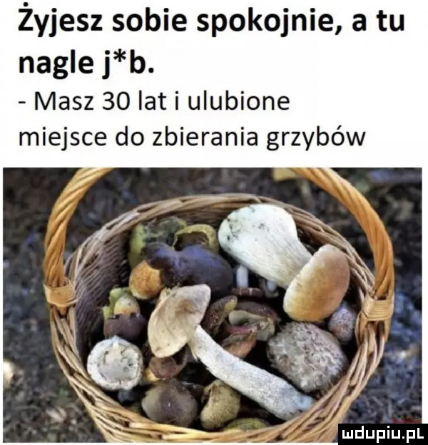 żyjesz sobie spokojnie a tu nagle j b. masz    lat i ulubione miejsce do zbierania grzybów