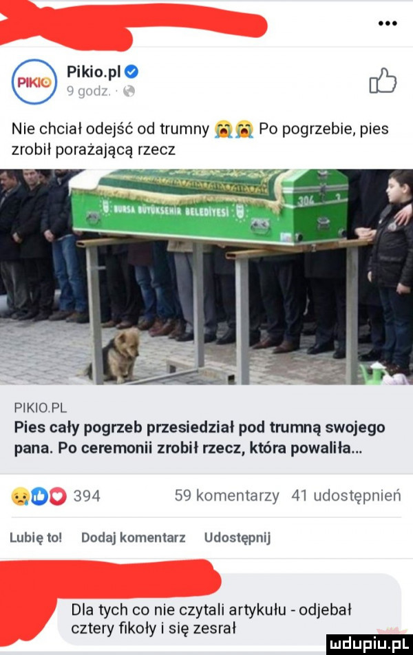 o eikioplo    nie chciał odejść od trumny mm po pogrzebie pies zrobii porażające rzecz w. yr. i nin mam unum i pinio pl pies cały pogrzeb przesiedzial pod tmmną swojego pana. po ceremonii zrobił rzecz która powaliła. d        komentarzy    udostępnień lubię to dodaj komentarz udostępnij dla tych co nie czytali artykułu odjebai cztery flkoiy i się zesrał