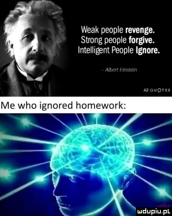 wiak people revenge. strong people forme. intelligent people ignore. m n uovss