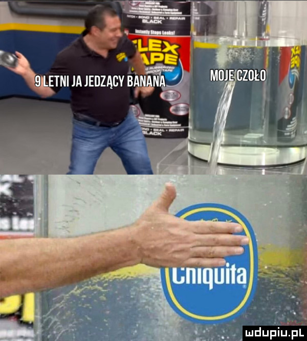 a lex ą x ps blatni m jedzacy mienia i