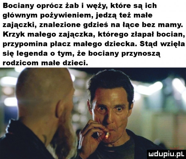 bociany oprócz żab i węży które są ich głównym pożywieniem jedzą też małe zajączki znalezione gdzieś na łące bez mamy. krzyk malego zajączka którego złapał bocian przypomina płacz małego dziecka. stąd wzięła się legenda o tym że bociany przynoszą rodzicom małe dzieci