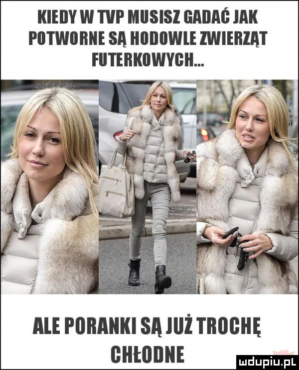 kieiiy w tvp mllslsl gabaś mk potwiibhe sa i illllllwle iwiema i fiitebkuwygh. r ale poranki sa lilż trbghę bhtolllle