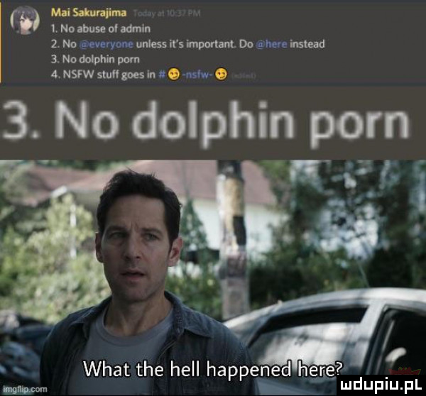 mai sakuvalima l no abuse   min  . no wom unless ars luponant. do gm  mm  . no dolphin pm. a nsfw stuflgoes iu unsun   no dolphin pom d here ludupiu. pl