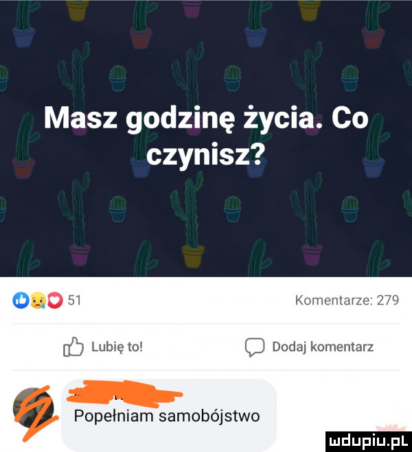 masz godzinę życia. co czynisz o   komentarze     lubię    dodaj komentarz popełniam samobójstwo