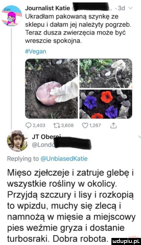 journalist katie.  d ukradlam pakowaną szynkę ze sklepu i dałam jej należyty pogrzeb. teraz dusza zwierzęcia może być wreszcie spokojna. replying to mięso zjełczeje i zatruje glebę i wszystkie rośliny w okolicy. przyjdą szczury i lisy i rozkopią to wpizdu muchy się zlecą i namnożą w mięsie a miejscowy pies wyżmie gryza i dostanie turbosraki. dobra robota