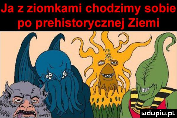 i i u lipiu pl