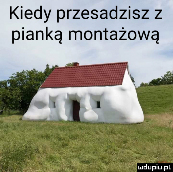 kiedy przesadzisz z pianką montażową
