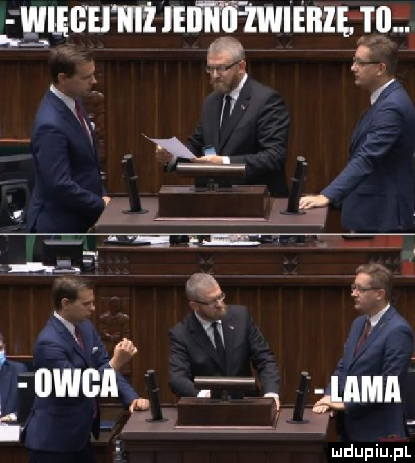 mm umawia gilga
