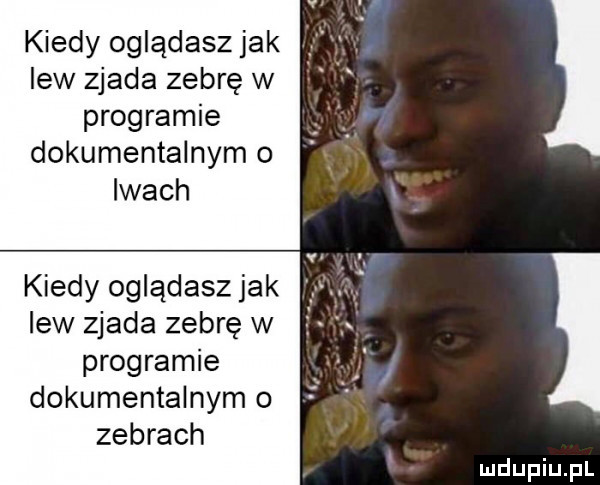 kiedy oglądasz jak lew zjada zebrę w programie dokumentalnym o iwach kiedy oglądasz jak lew zjada zebrę w programie dokumentalnym o zebrach