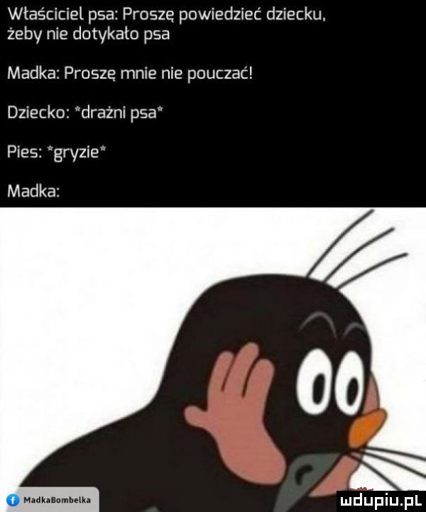 właściciel psa prosze powiedzieć dziecku. zeby nie dogi kato psa madka proszę mnie nie pouczać dziecko drażni psa pies gryzie madka