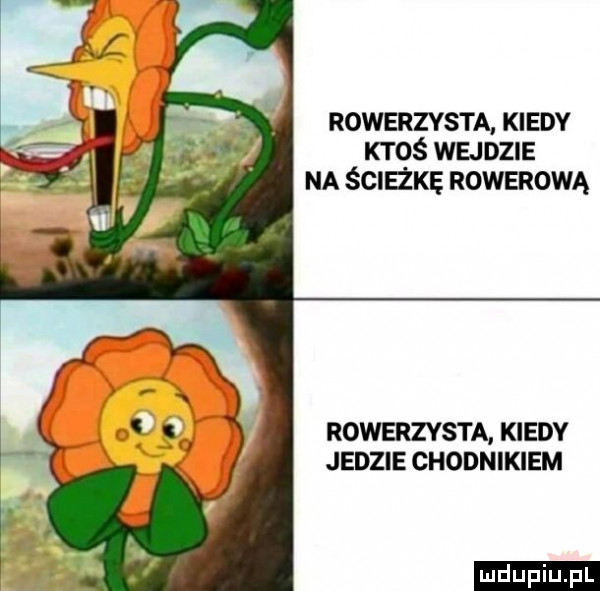 rowerzysta kiedy ktoś wejdzie na śclakę rowerowa rowerzysta kiedy jedzie chodnikiem ludu iu. l