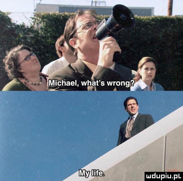 webb