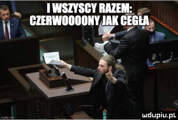 iwsiysgy wdę gemini h gnał   ś liv