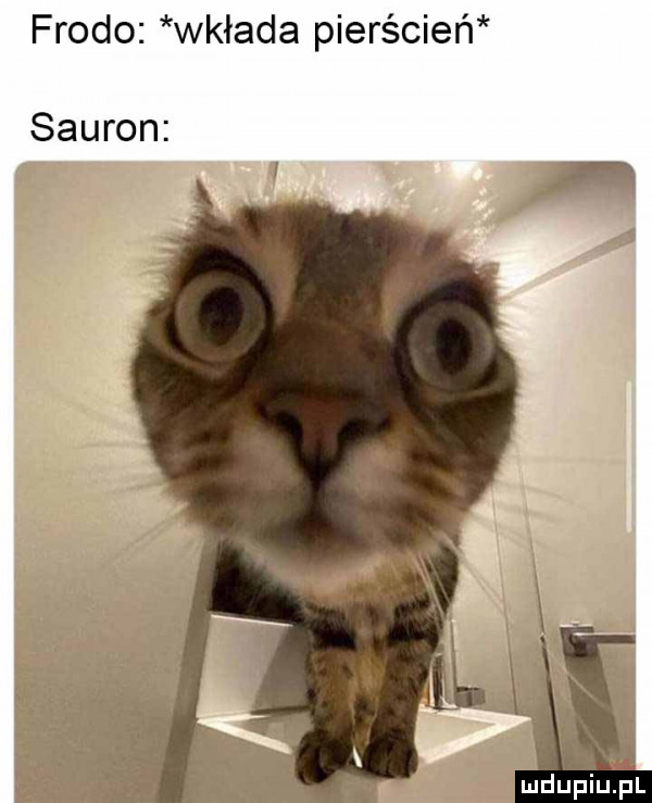 frodo wkłada pierścień sauron