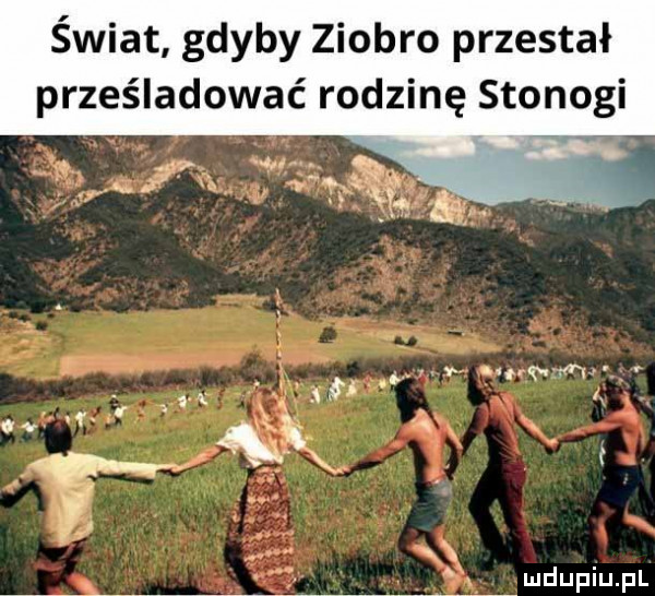 świat gdyby ziobro przestał prześladować rodzinę stonogi j. qx. abakankami i v y . afro ww d i xf.   av f x x