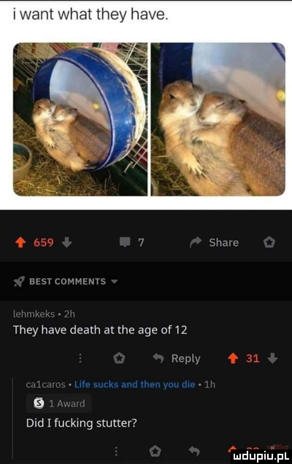 iwant wiat they hace stare q ensi comments they hace death at tee age of    repry ddd i fucking stutter
