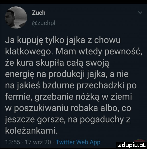 zuch v zuchpl ja kupuję tylko jajka   chowu klatkowego. mam wtedy pewność że kura skupiła całą swoją energię na produkcji jajka a nie na jakieś bzdurne przechadzki po fermie grzebanie nóżką w ziemi w poszukiwaniu robaka albo co jeszcze gorsze na pogaduchy z koleżankami.          w-z    twnter web aap udupiu pl