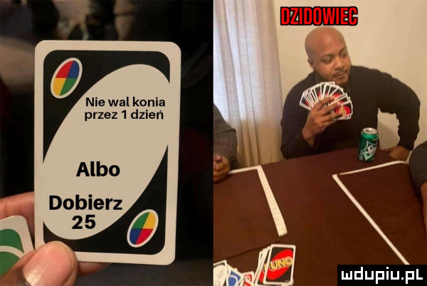 nie wal konia przez   dzień m wdupiu pl