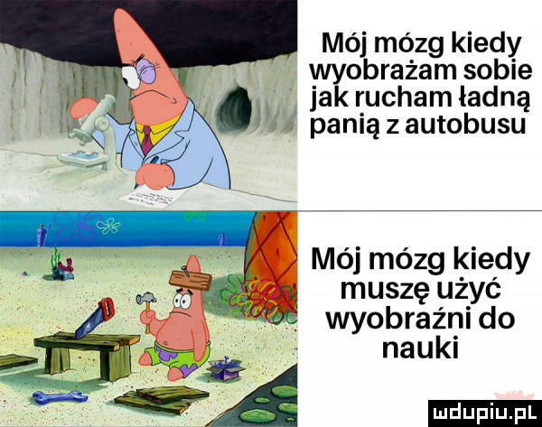 mój mózg kiedy wyobrażam sobie jak rucham iadną jpanią z autobusu mój mózg kiedy muszę użyć wyobraźni do nauki a wg