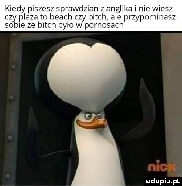 kiedy piszesz sprawdzian z anglika i nie wiesz czy plaża to blach czy bitch ale przypominasz sobie że bitch było w pornosach