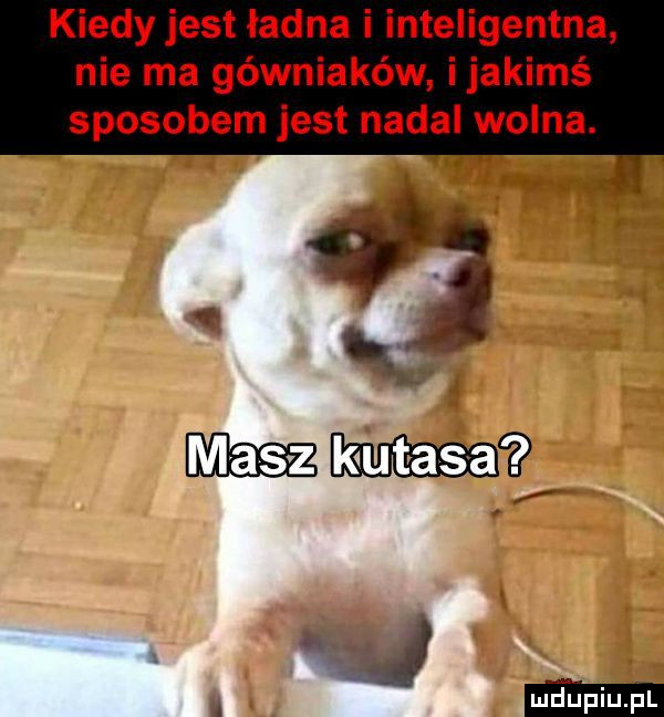 kiedy jest ładna i inteligentna nie ma górniaków ijakimś sposobem jest nadal wolna