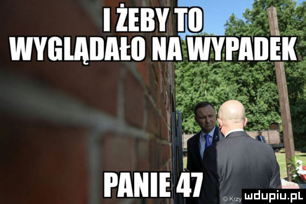 iżeby m lea wyglaiiałll aa wypadek