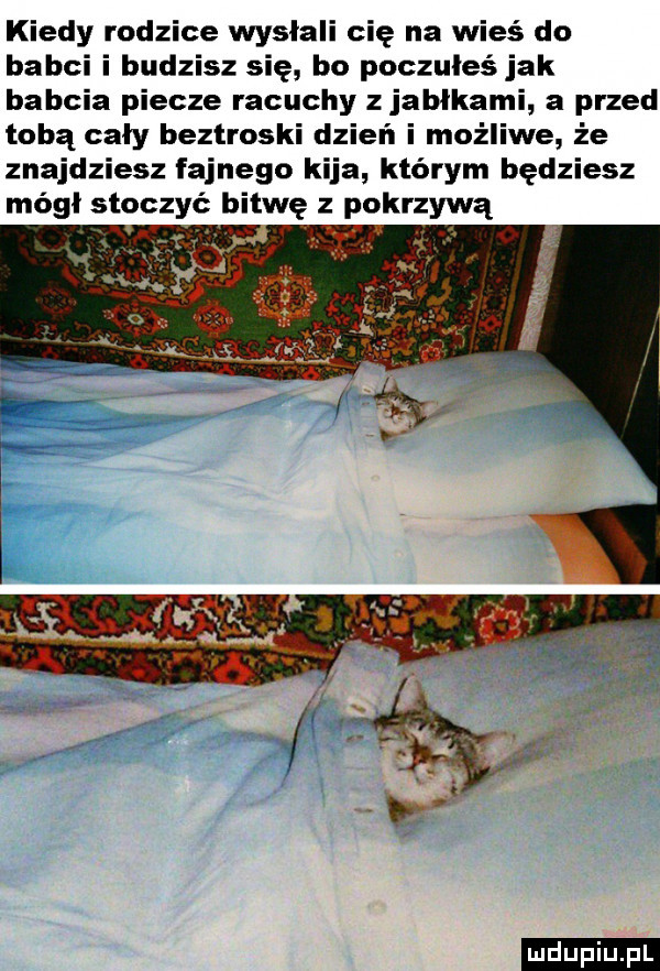 kiedy rodzice wysłali cię na wieś do babci i budzisz się bo poczułeś jak babcia piecze racuchy jabłkami a przed tobą cały beztroski dzień i możliwe że znajdziesz fajnego kija którym będziesz mógł stoczyć b tlę z pokrzywa ludu iu. l