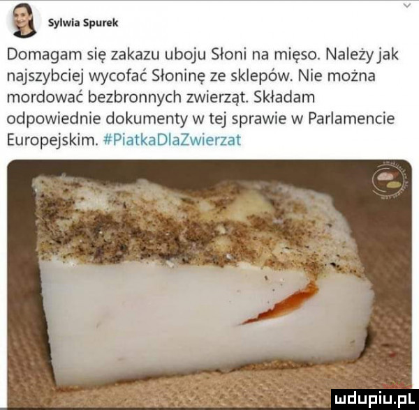sylwia spunk domagam się zakazu uboju słoni na mięso. należyjak najszybciej wycofać słoninę ze sklepów. nie można mordować bezbronnych zwierząt. składam odpowiednie dokumenty w tej sprawie w parlamencie europejskim. piatkadlazwierzat ludurjiujui