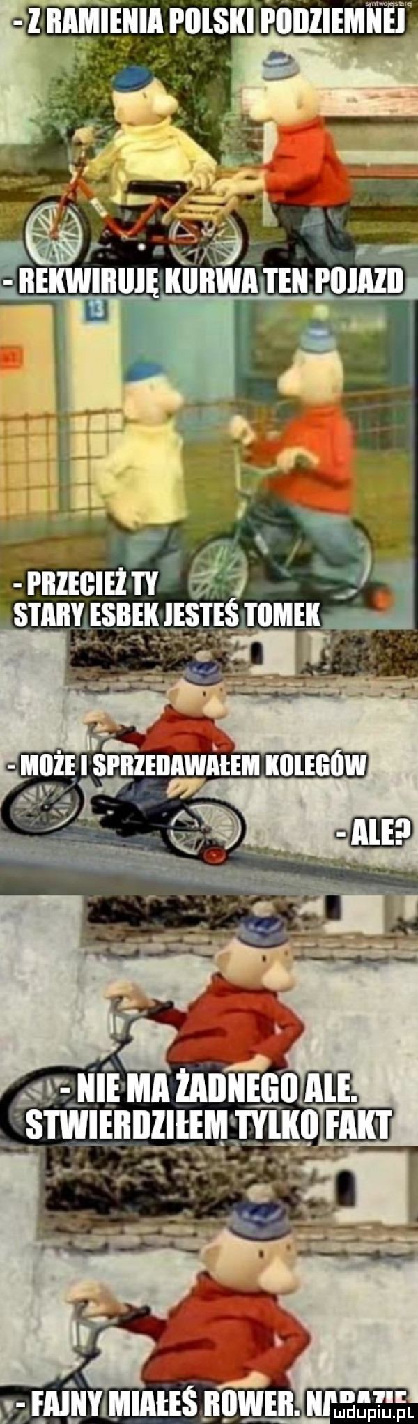ramienia piilski piiiiziemnei f v fmhyimiaies bbwr. uwm