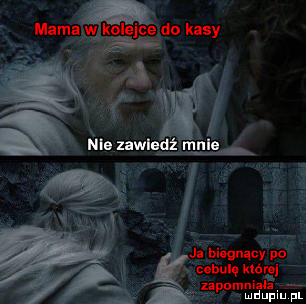 mamafwąlklolejctć do kasy ja biegnący po v cebulę której za omniala p ludupiu. pl