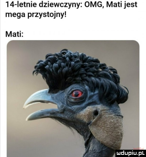 istnie dziewczyny omg maci jest mega przystojny maci