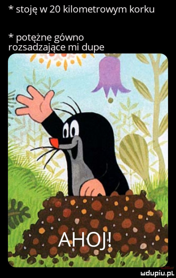 stoję w    kilometrowym korku potężne gówno rozsadzające mi dupe