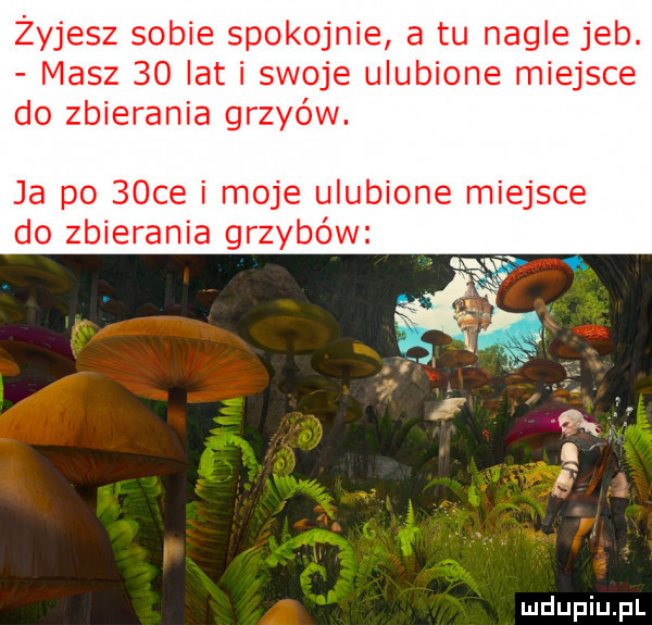 żyjesz sobie spokojnie a tu nagle jeb. masz    lat i swoje ulubione miejsce do zbierania grayów. ja po   ce i moje ulubione miejsce do zbierania grzybów q