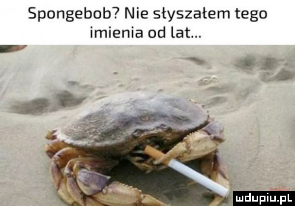 spongebob nie słyszałem tego imienia od lat. s q. an