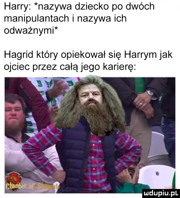 harry nazywa dziecko po dwóch manipulantach i nazywa ich odważnymi hagrid który opiekował się harrym jak ojciec przez całą jego karierę