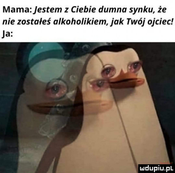 mama entem z ciebie dumna synku że nie zostałeś alkoholikiem jak tao j ojciec ja